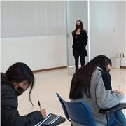 Clases en linea; Historia y otras materias